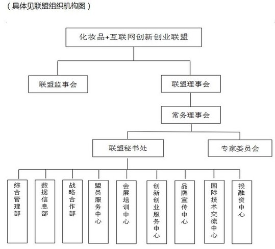 “化妝品+互聯網創新創業聯盟”扛起民族化妝品的大旗